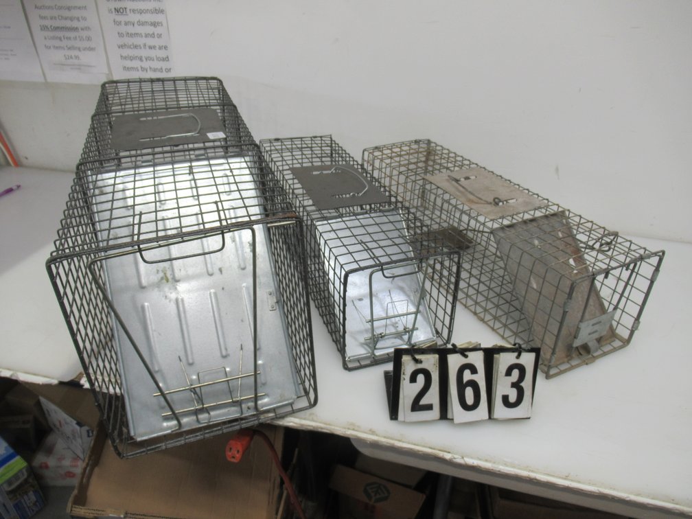 Lot 263