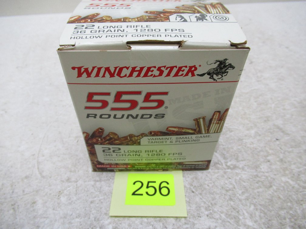 22LR Ammo