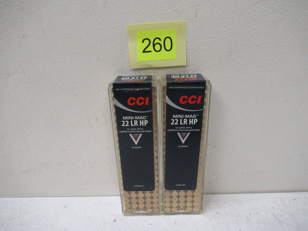 22LR Ammo