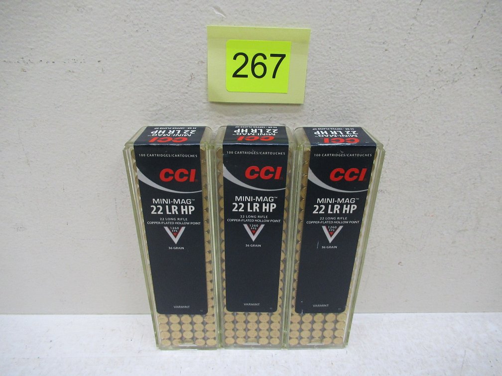 22LR Ammo