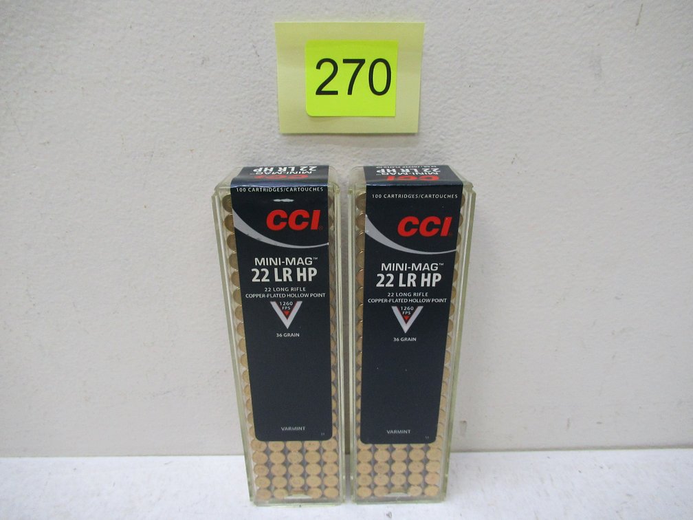 22LR Ammo