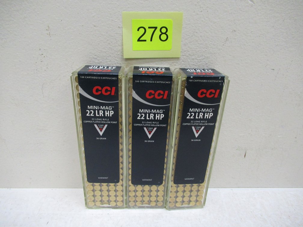 22LR Ammo