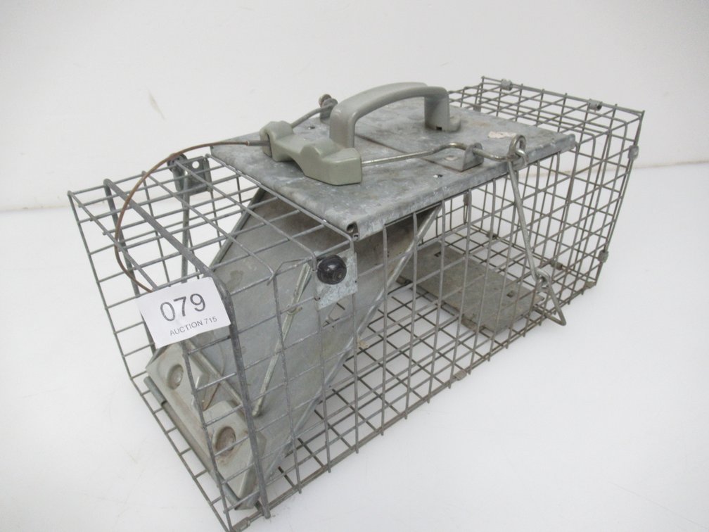 Lot 79