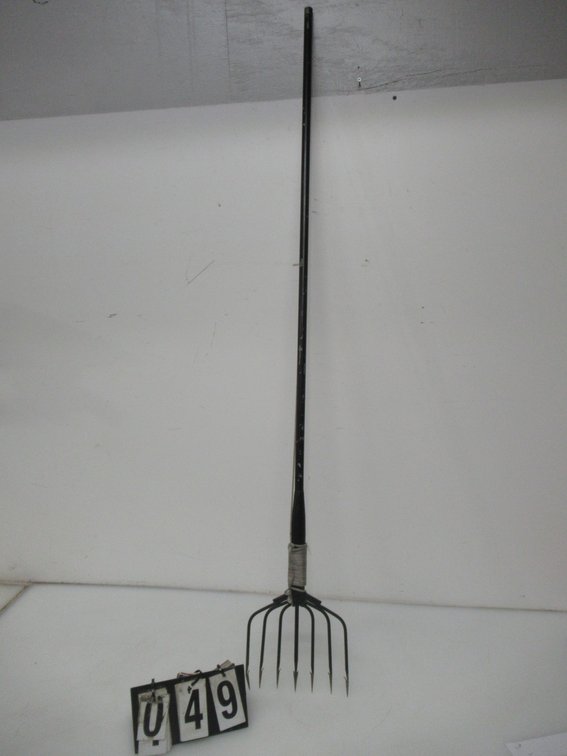 Lot 49