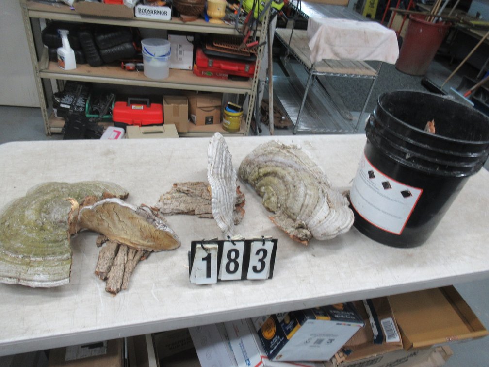 Lot 183