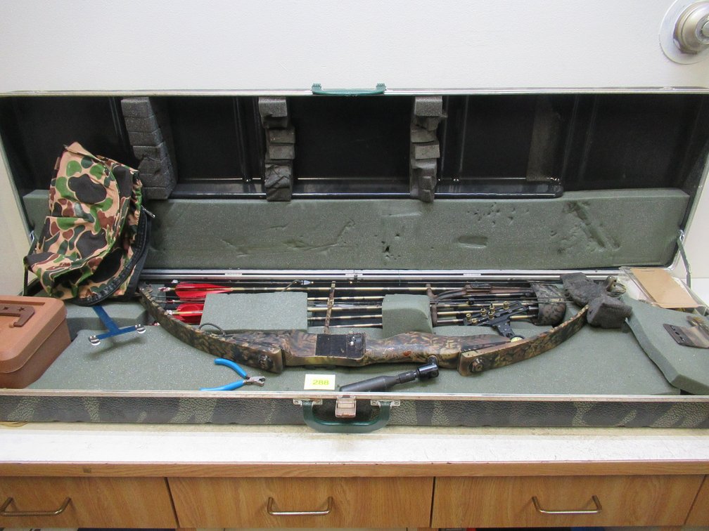 Compound Bow & Hard Case