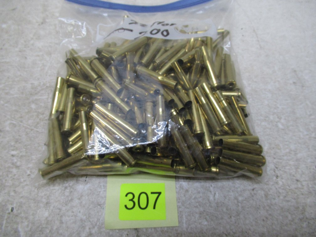 22 Hornet Brass