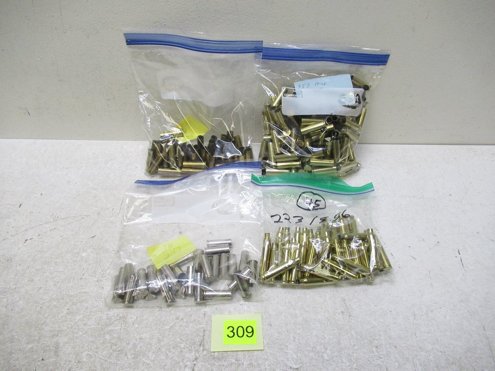 357Mag - 38SPL - 223 Brass
