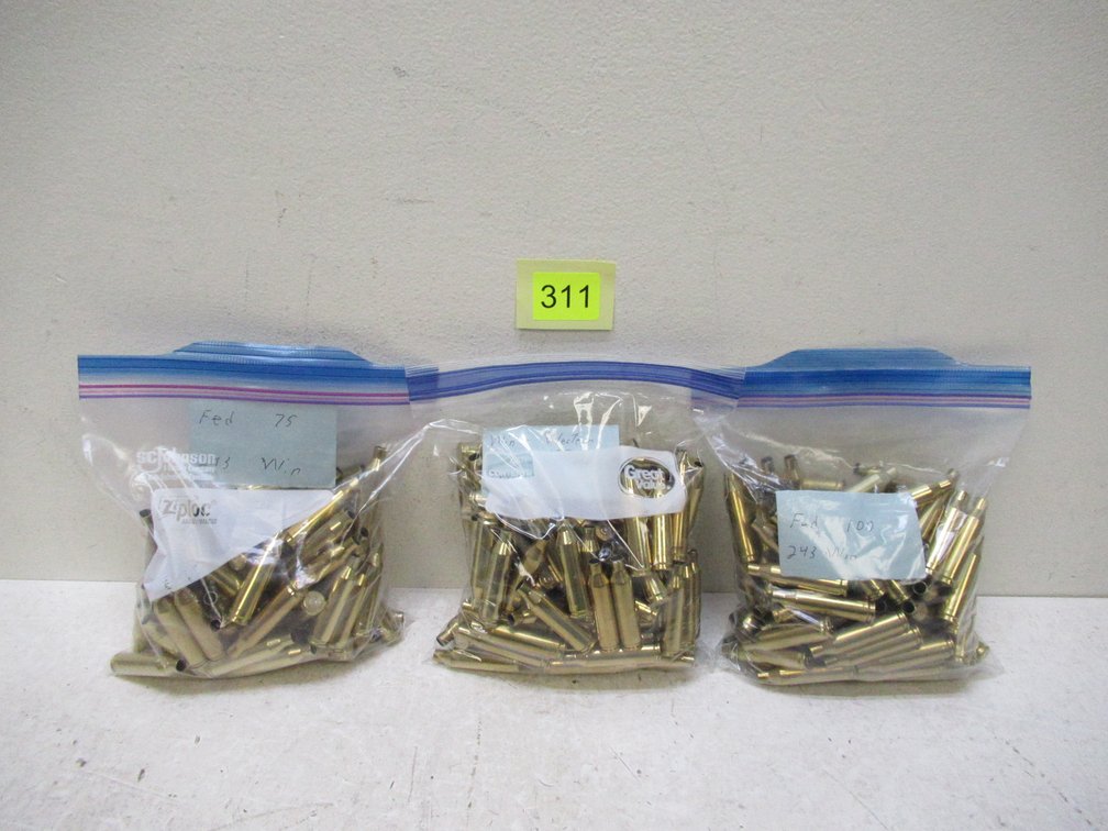 243 Win Brass