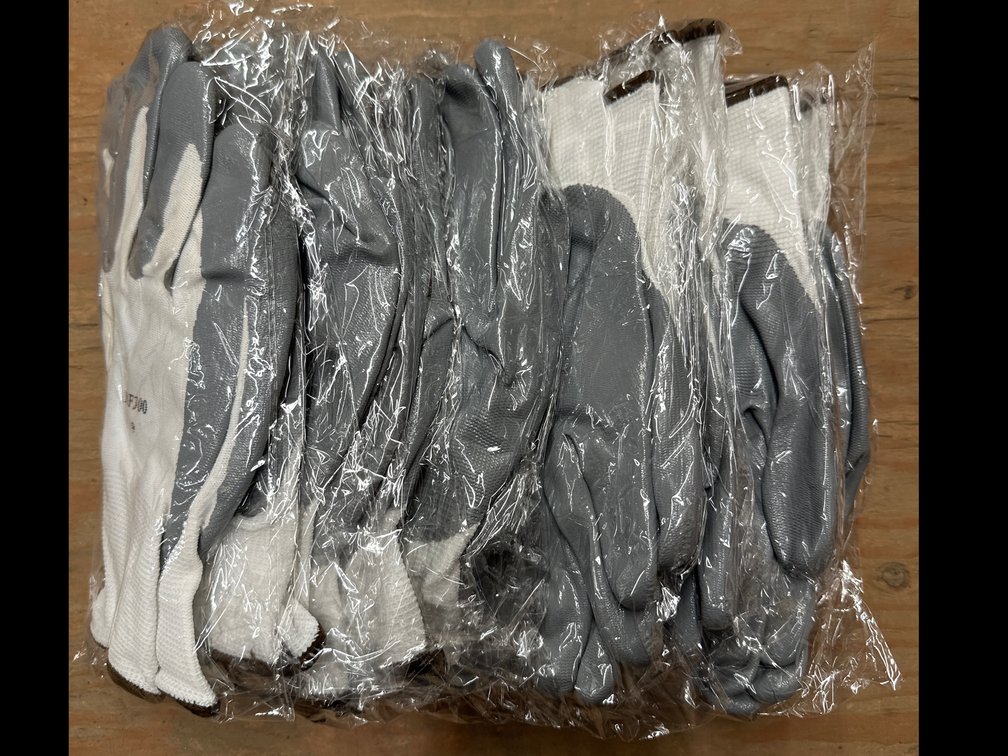 Lot 24: 12-Pack of Size Large (9) Poly Gloves