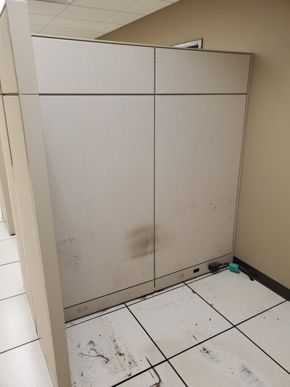 Additional photo of lot 24