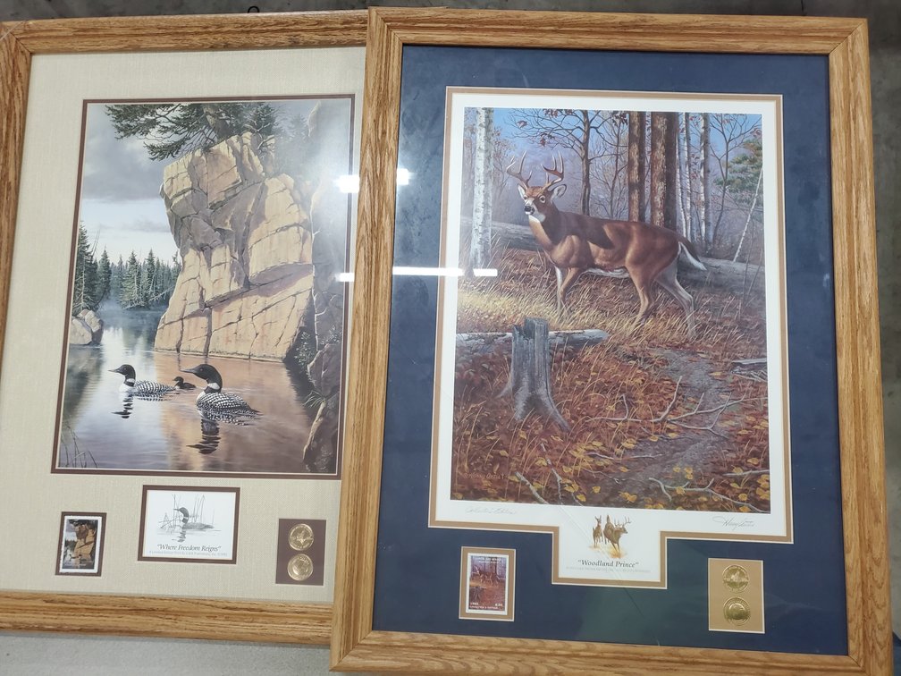 Lot 101: Wildlife pictures