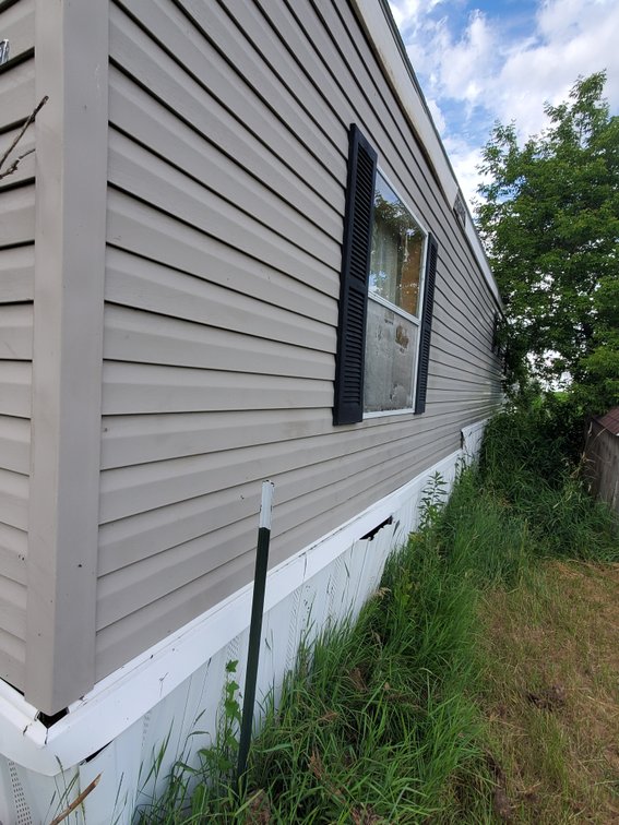 Additional photo of lot 50