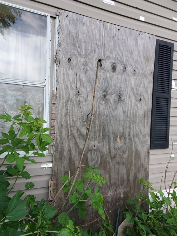 Additional photo of lot 50
