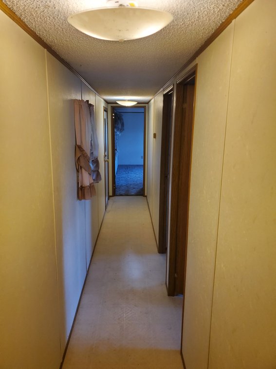 Additional photo of lot 50