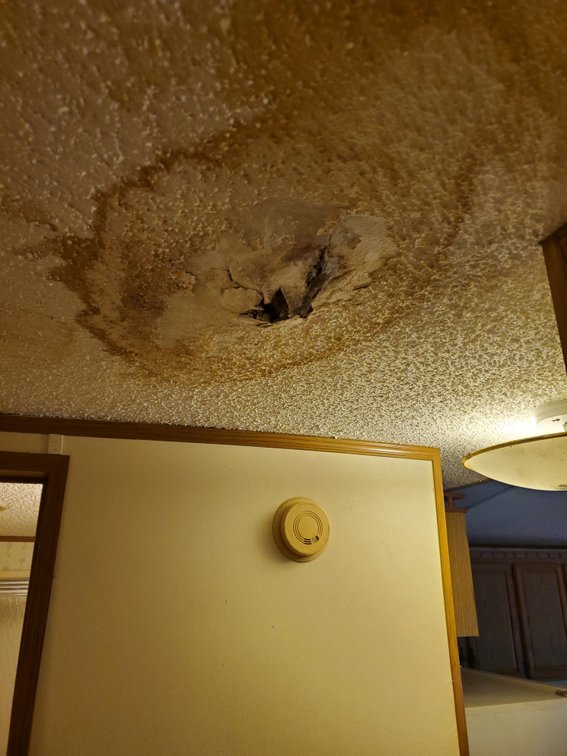 Additional photo of lot 50