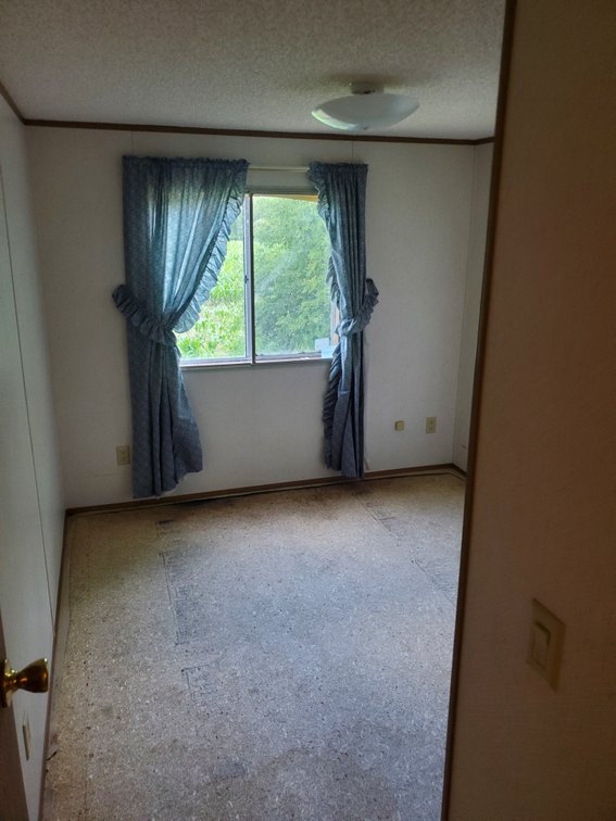 Additional photo of lot 50