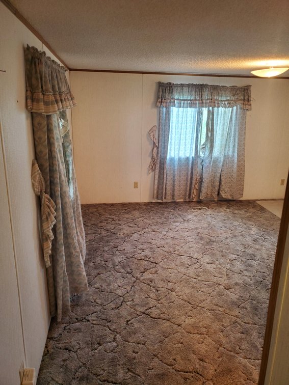Additional photo of lot 50