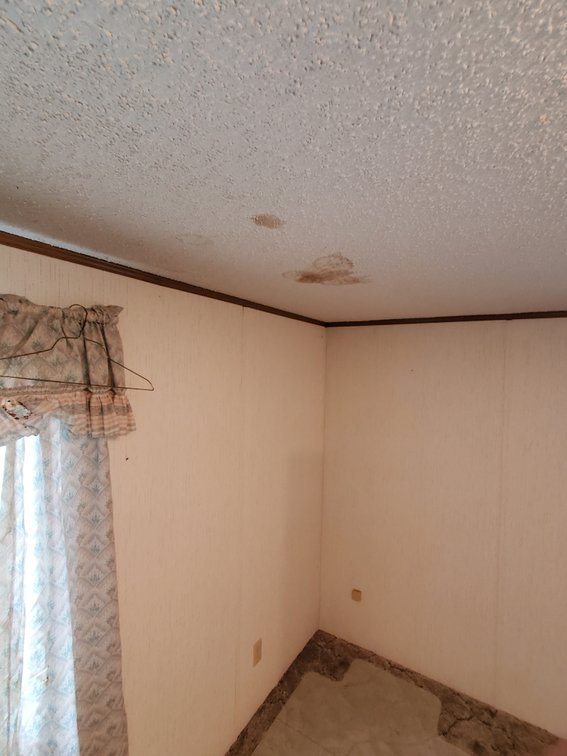 Additional photo of lot 50