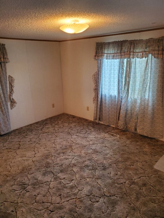 Additional photo of lot 50