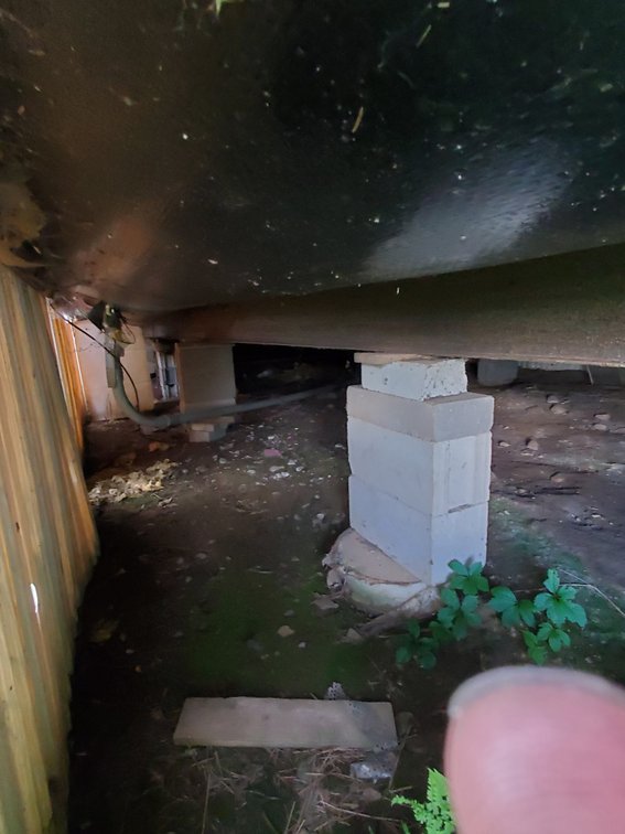 Additional photo of lot 50