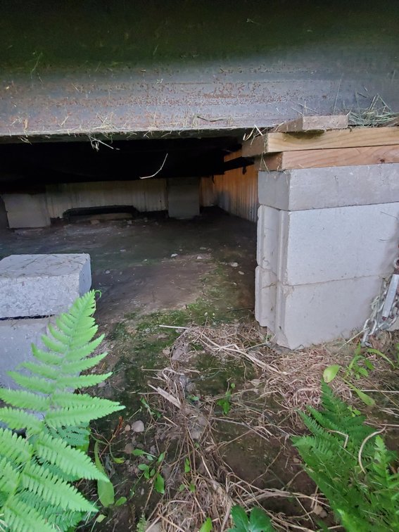 Additional photo of lot 50