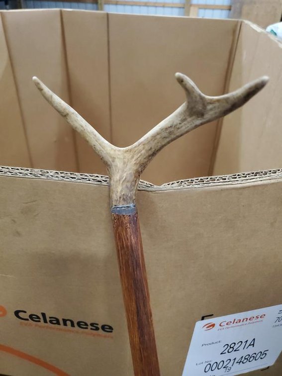 Lot 27: Genuine Deer Antler Handle Wooden Walking Cane