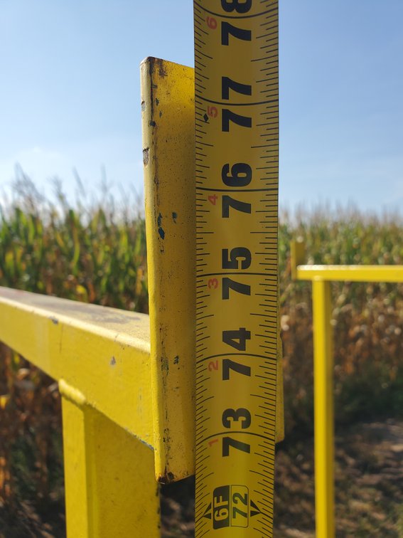Additional photo of lot 22