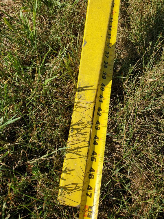 Additional photo of lot 22