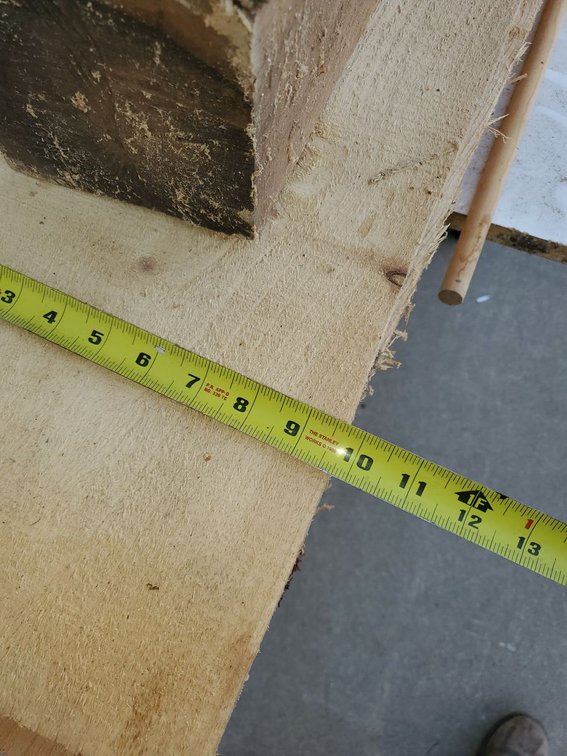 Additional photo of lot 75