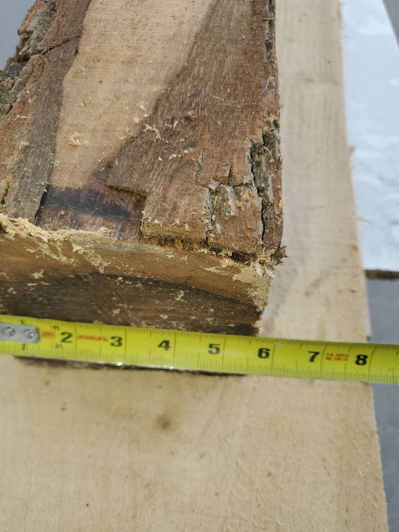 Additional photo of lot 75