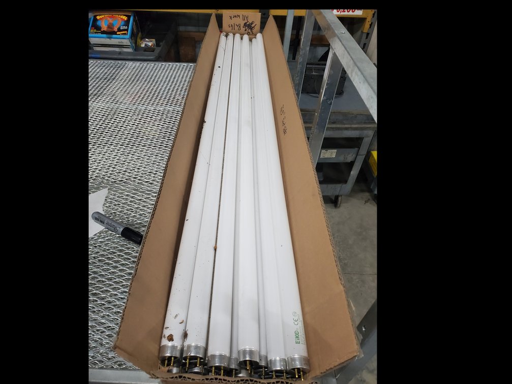 Lot 134: Florescent 4ft light bulbs