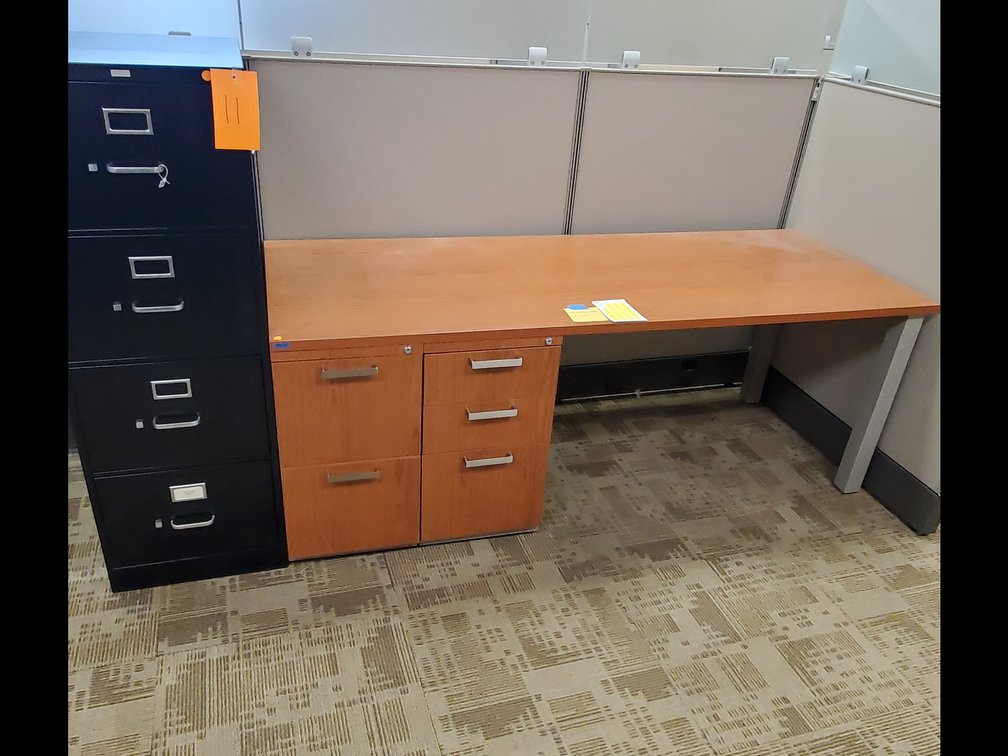 Lot 11: Heavy Duty Desk/File Cabinet