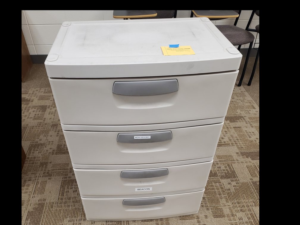 Lot 28: Sterilite Storage Container