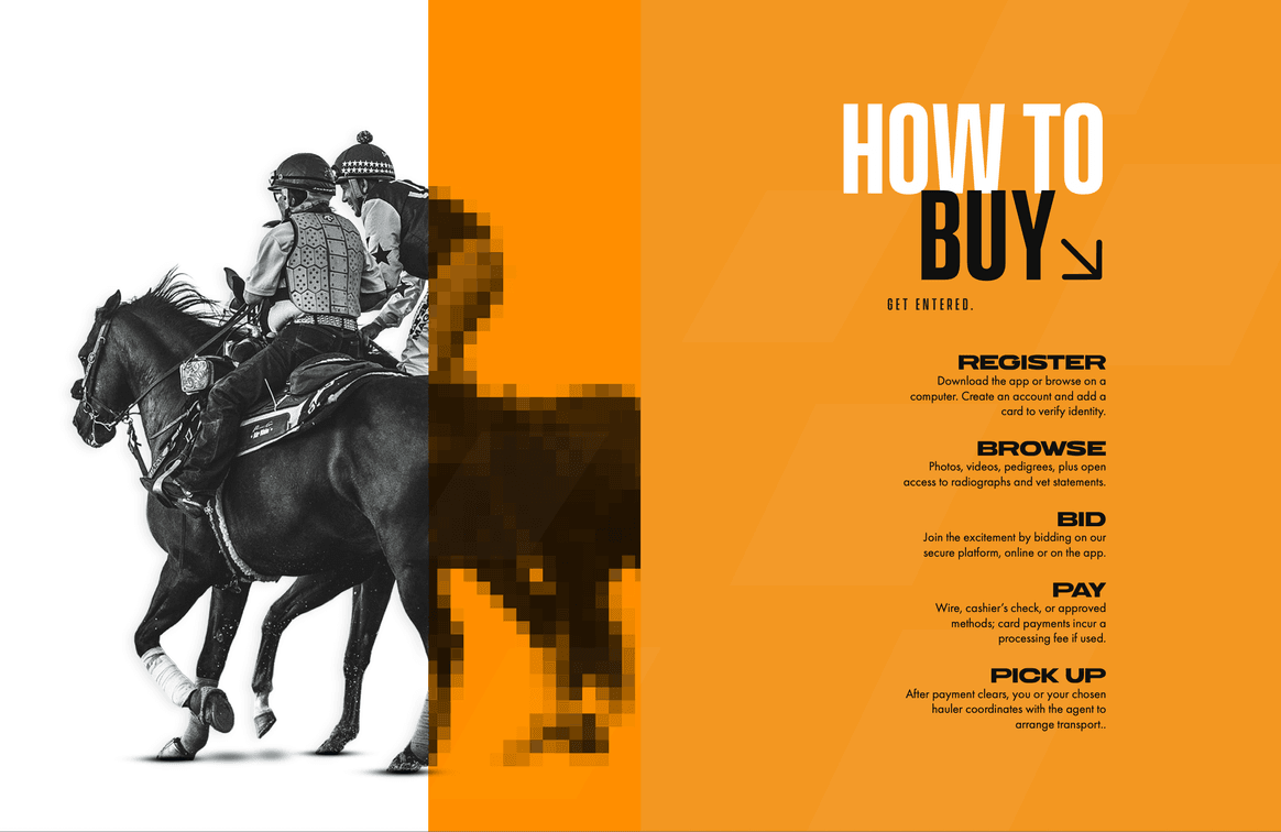 How To Buy