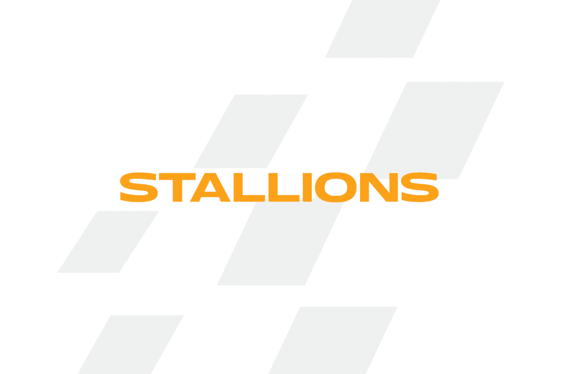 Stallions