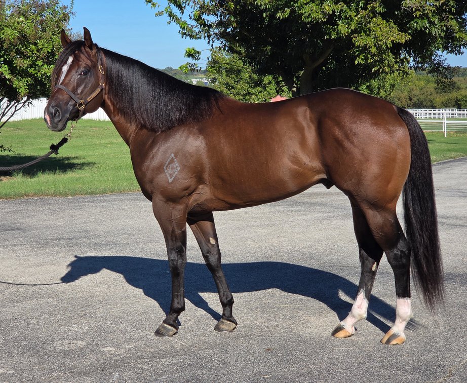 Aint He Tempting SI 92 - $262,419, G2 SW