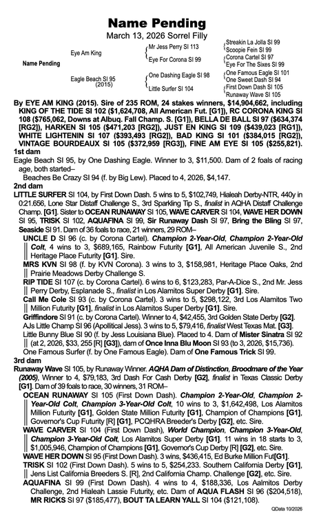 '26 sorrel filly, Eye Am King x Eagle Beach, One Dashing Eagle
