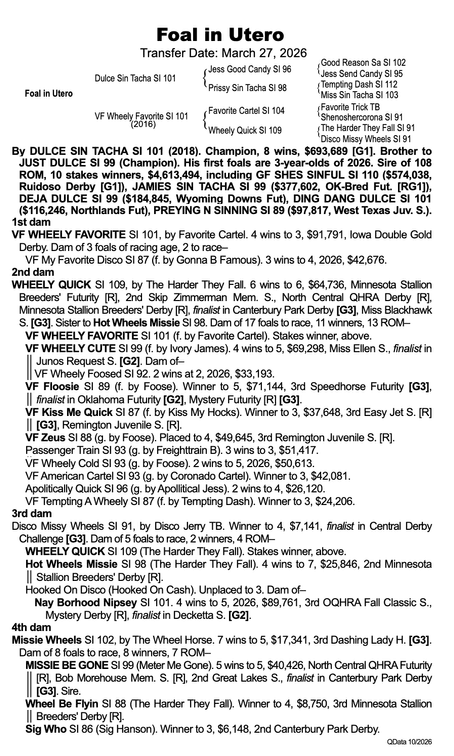 '27 embryo, Dulce Sin Tacha x VF Wheely Favorite