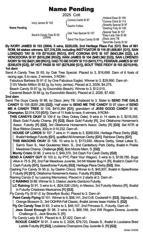 '25 colt, Ivory James x Send A Candy Tree, Oak Tree Special