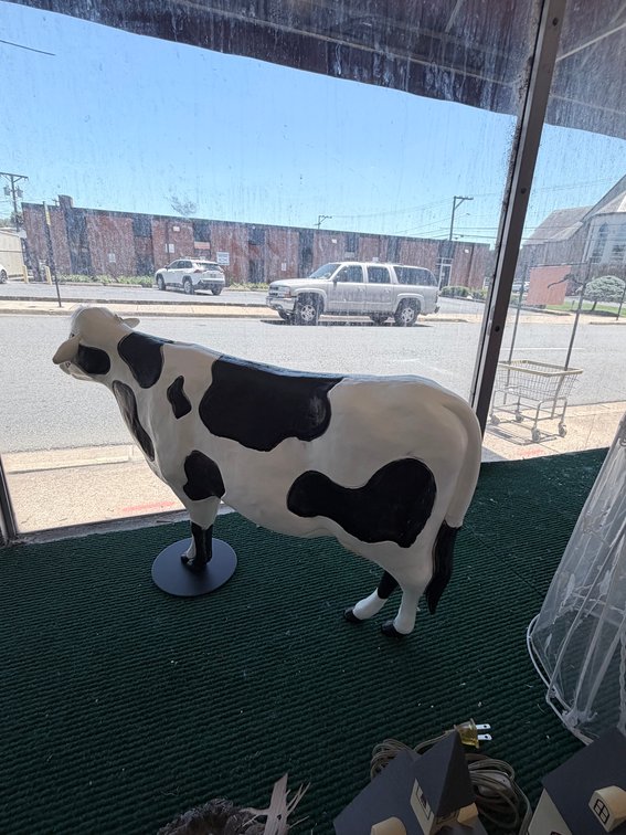 Lot 66