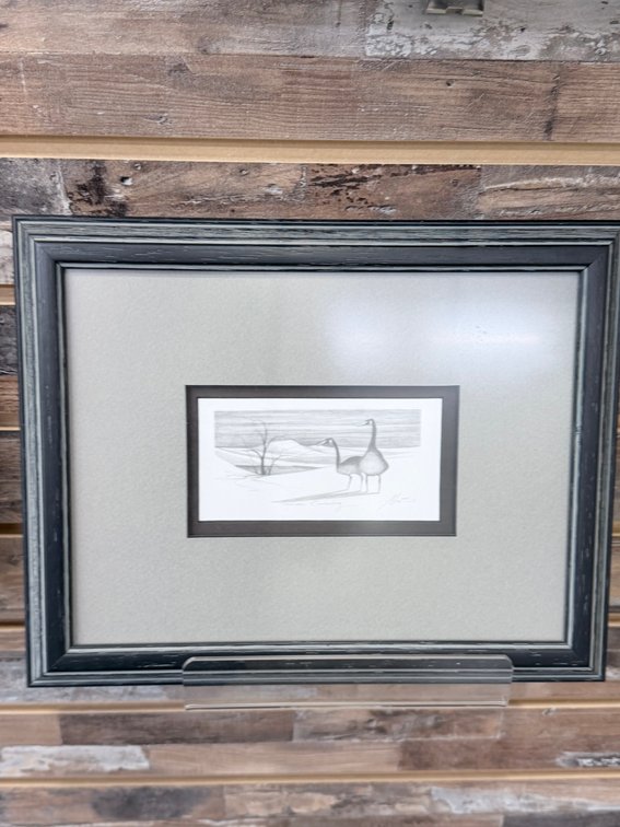 Lot 64