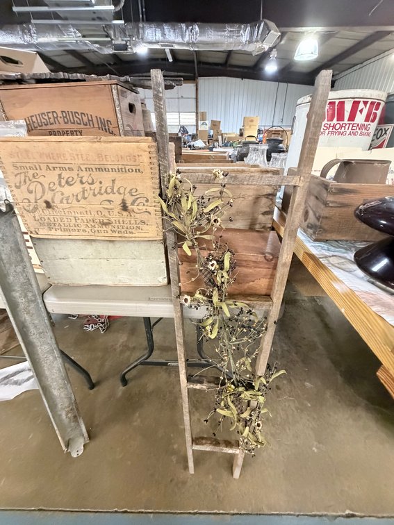 Lot 55