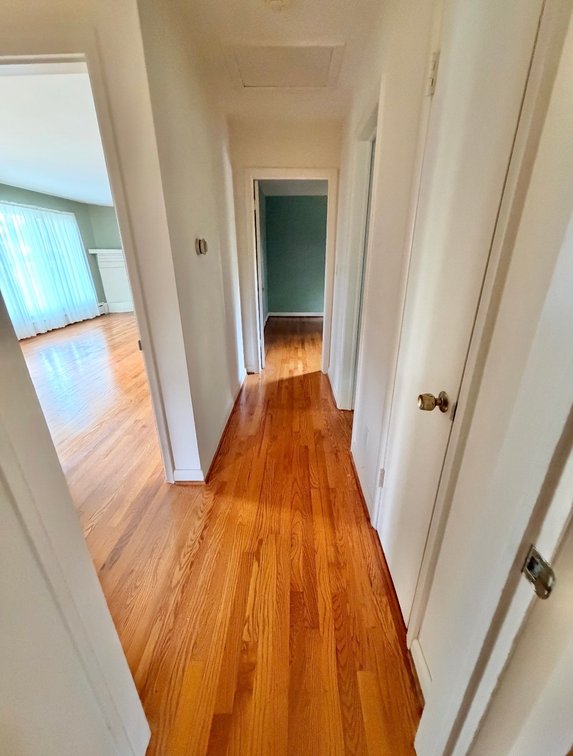 Lot 20