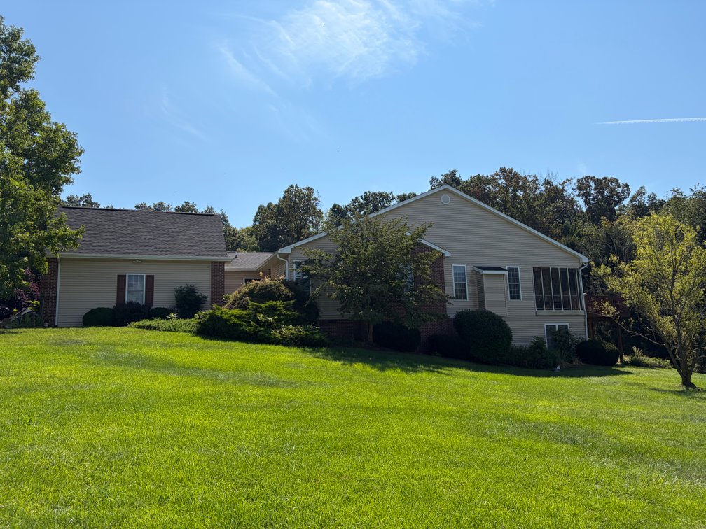Lot 36