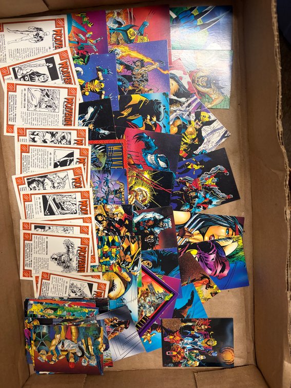 Lot 16