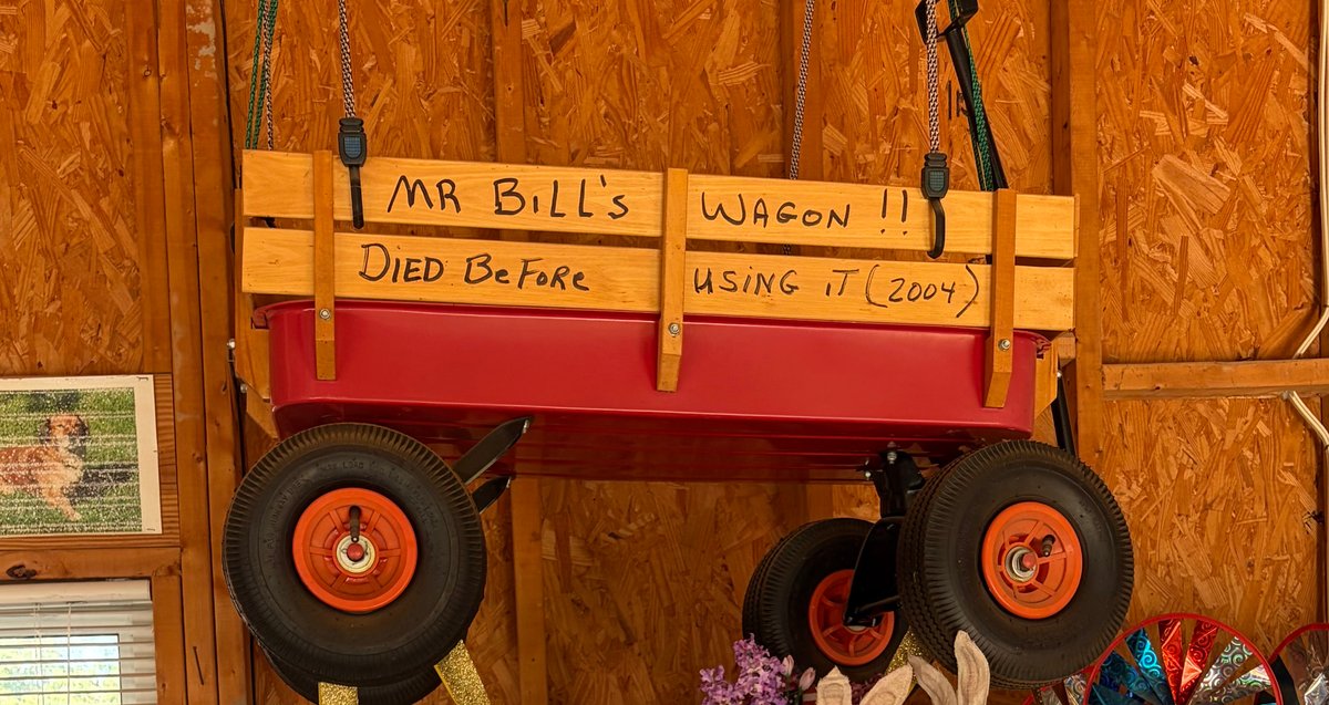 Lot 9