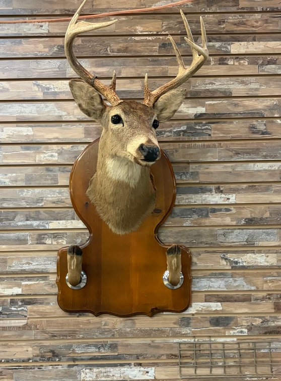 Lot 63