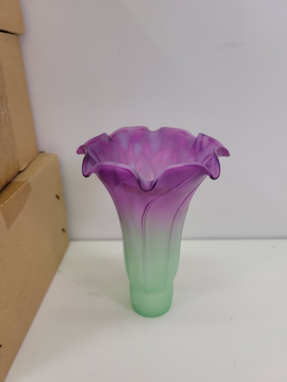 (6) Glass Tulip Light Shades