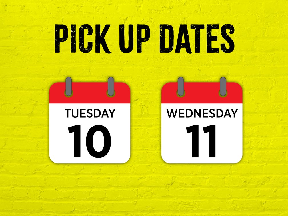 Pick Up March 10th and 11th from 10 AM to 6 PM